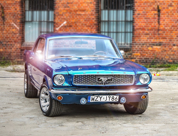 mustang66 Logo mustang66