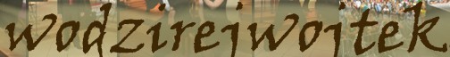 Wodzirej Wojciech Nikoniuk Logo Wodzirej Wojciech Nikoniuk
