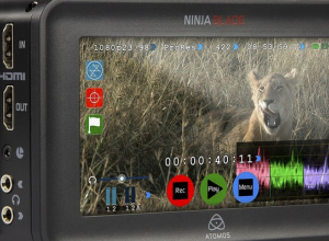 wynajem Rekorder Atomos Ninja Blade HDMI 