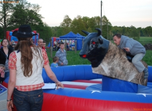 wynajem Byk symulator rodeo